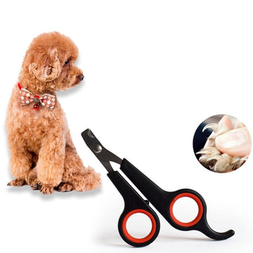 Multicolor Pet Nail Clippers